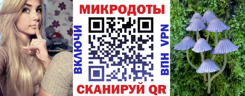 MEGA сайт Беломорск Галлюциногенные грибы Psilocybine cubensis